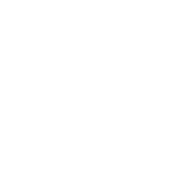 Icon Internationaler Transport