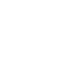 Icon Überwachung Logistik
